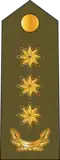 Polkovnik[3] (Azerbaijani Land Forces)