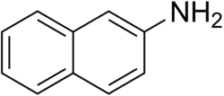Skeletal formula