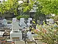 Bridgetown Synagogue Cemetery
