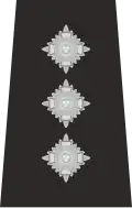 Isle of Man Police Chief Inspector Epaulette