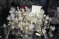 Barnacles from Charles Darwin's collection, gifted to scientists at the university in 1854