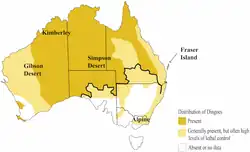 Distribution map of Australian dingoes. The black line represents the Dingo fence (after Fleming et al. 2001).