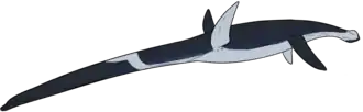 Reconstruction of a long-necked blue marine reptile on a white background.