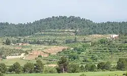 Town of Fuente Carrasca