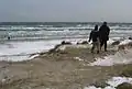 Off season: All of the Danish coastline is publicly accessible by law
