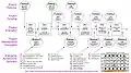 Integrated Process Flow for VA IT Projects (2001)