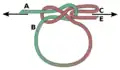 Tightening the Lapp knot loop.