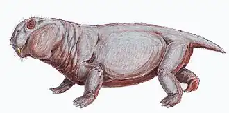 Lystrosaurus