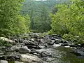 Maury River