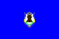 Flag of Mora, Spain
