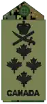 CADPAT uniform
