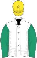 White, emerald green sleeves, yellow cap