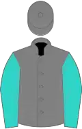 Turquoise and marron stripes, turquoise sleeves