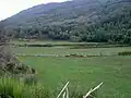 Piana di Roti