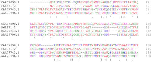 text
