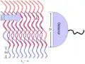 Figure 9: A wave with infinite coherence area is combined with a spatially shifted copy of itself. Some sections in the wave interfere constructively and some will interfere destructively. Averaging over these sections, a detector with length D will measure reduced interference visibility. For example, a misaligned Mach–Zehnder interferometer will do this.