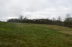 Stone SSSI
